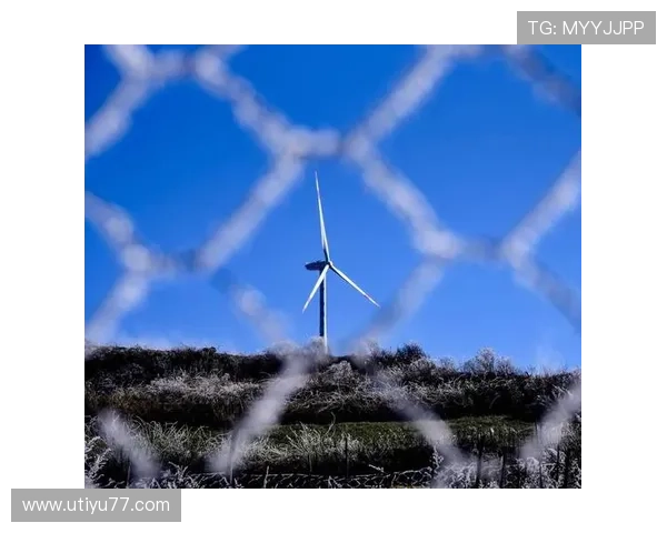 不来梅直播：德国港口城市的实时风貌与人文探索